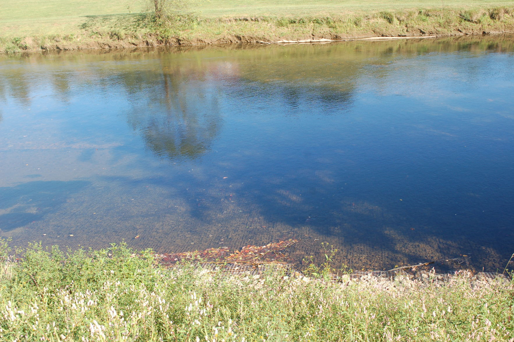 DSC_3090.JPG